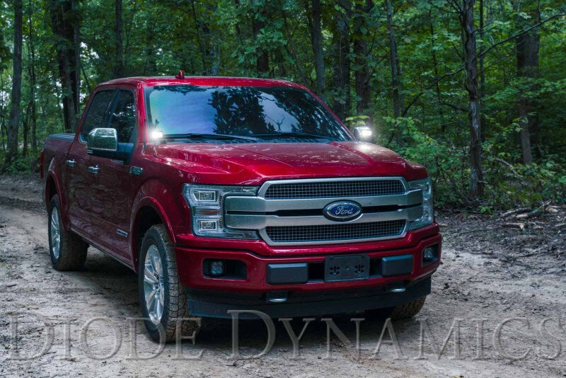 15-20 Ford F-150/Raptor Diode Dynamics DD6569 Pro SS3 LED Ditch Light Kit - White Combo
